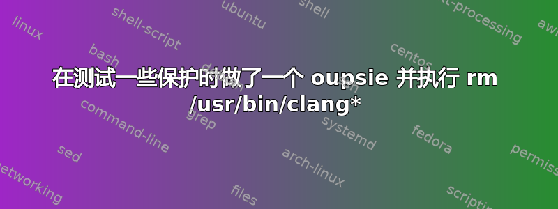 在测试一些保护时做了一个 oupsie 并执行 rm /usr/bin/clang*