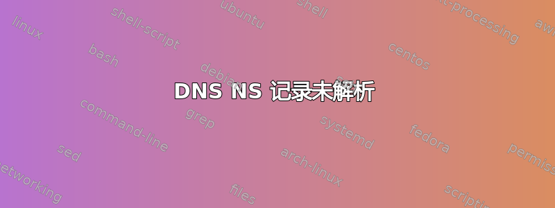 DNS NS 记录未解析