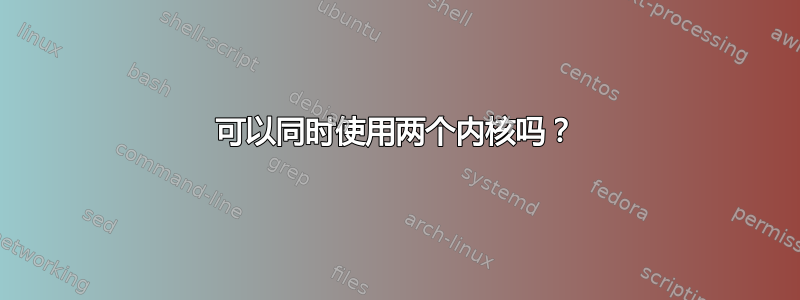 可以同时使用两个内核吗？