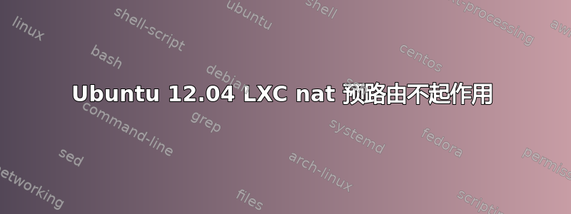 Ubuntu 12.04 LXC nat 预路由不起作用