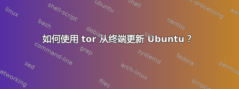 如何使用 tor 从终端更新 Ubuntu？