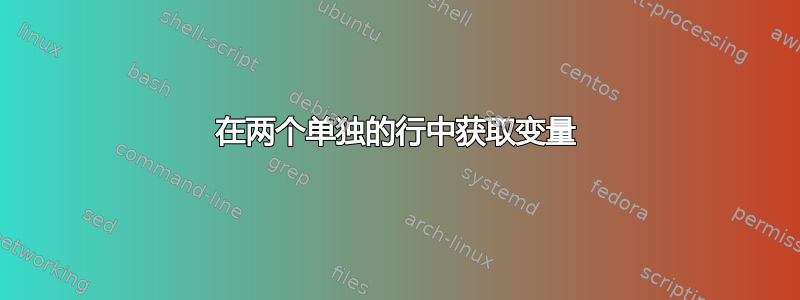 在两个单独的行中获取变量