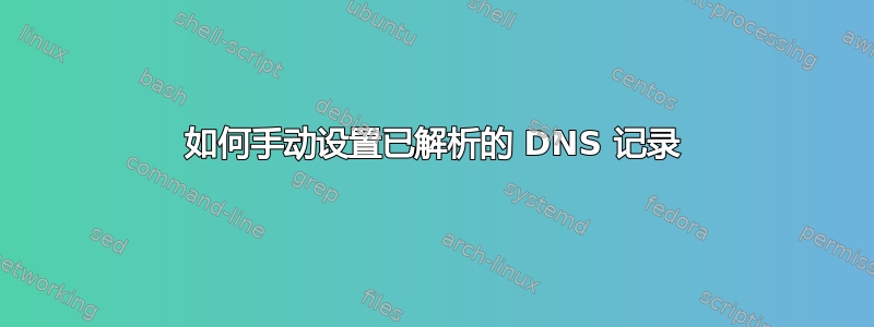 如何手动设置已解析的 DNS 记录