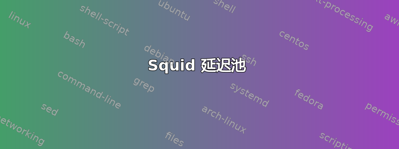 Squid 延迟池