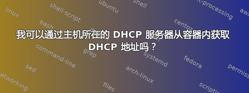 我可以通过主机所在的 DHCP 服务器从容器内获取 DHCP 地址吗？