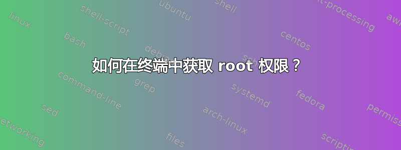 如何在终端中获取 root 权限？