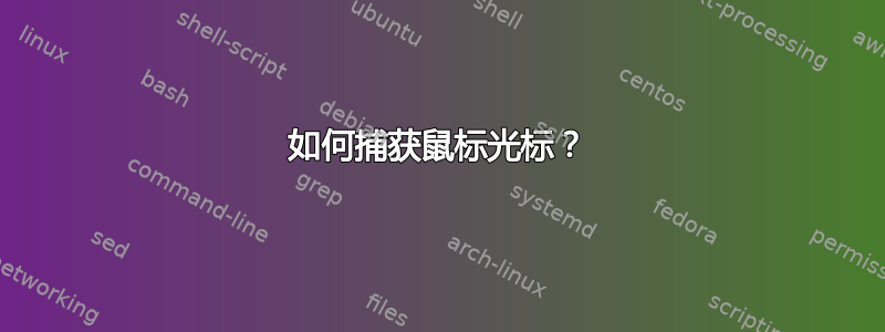 如何捕获鼠标光标？