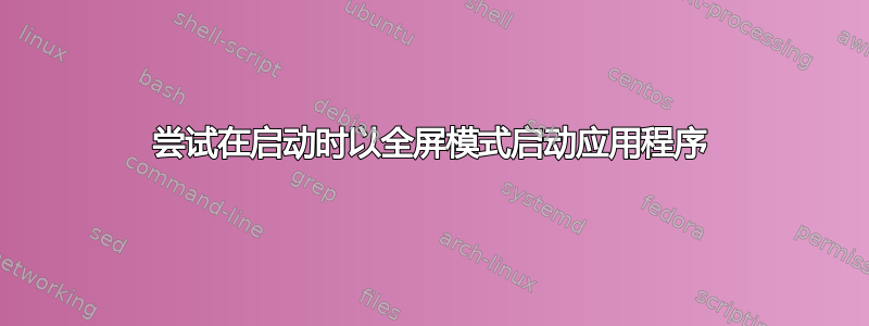 尝试在启动时以全屏模式启动应用程序