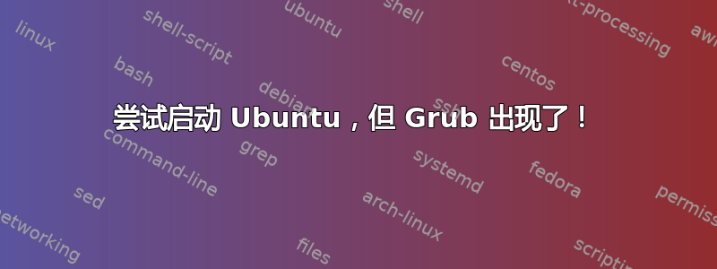 尝试启动 Ubuntu，但 Grub 出现了！