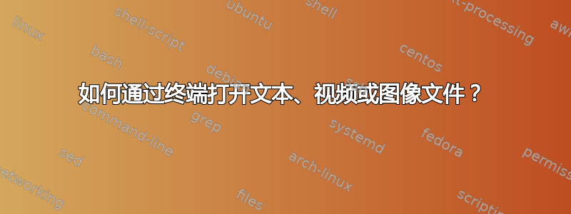 如何通过终端打开文本、视频或图像文件？