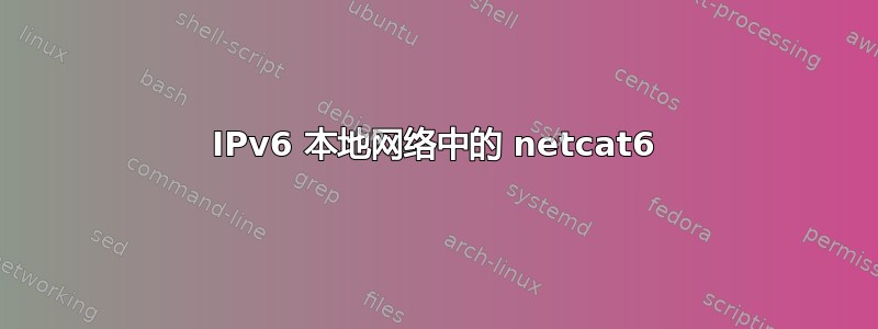 IPv6 本地网络中的 netcat6