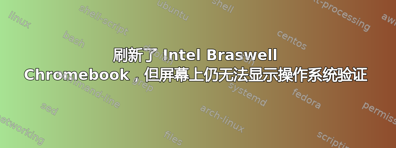 刷新了 Intel Braswell Chromebook，但屏幕上仍无法显示操作系统验证