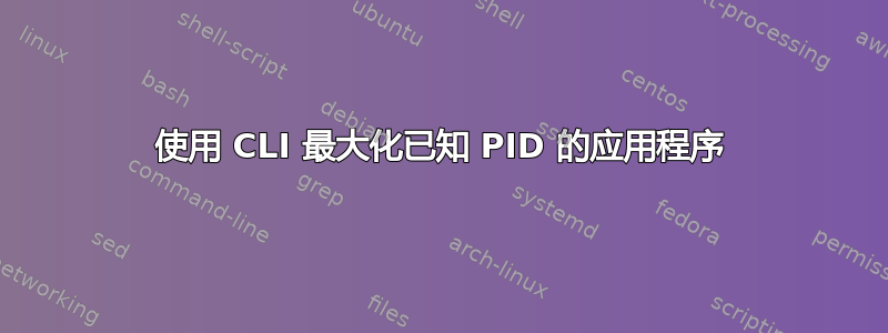 使用 CLI 最大化已知 PID 的应用程序