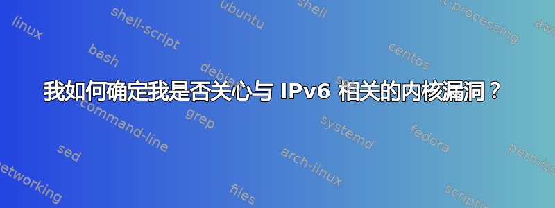 我如何确定我是否关心与 IPv6 相关的内核漏洞？