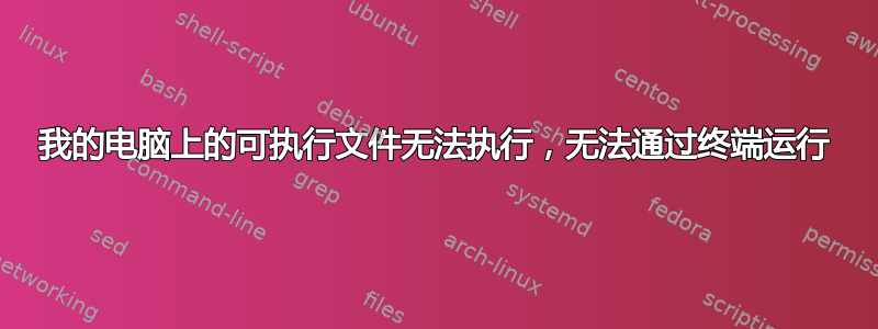 我的电脑上的可执行文件无法执行，无法通过终端运行