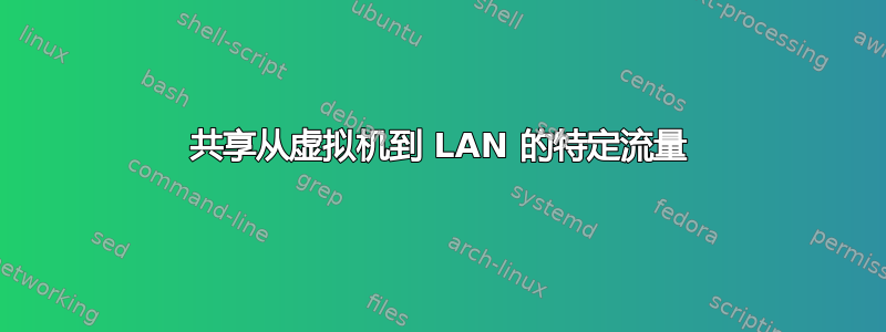 共享从虚拟机到 LAN 的特定流量