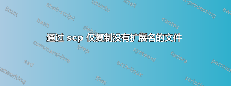 通过 scp 仅复制没有扩展名的文件