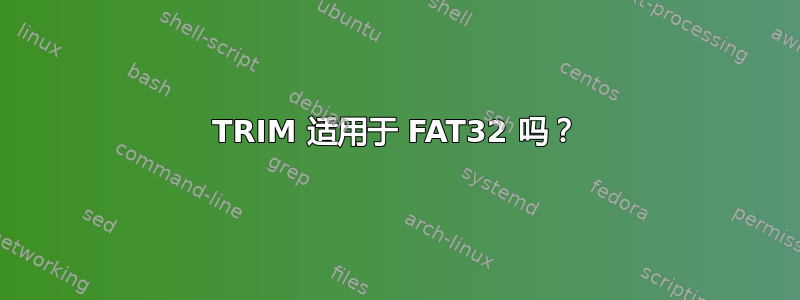 TRIM 适用于 FAT32 吗？