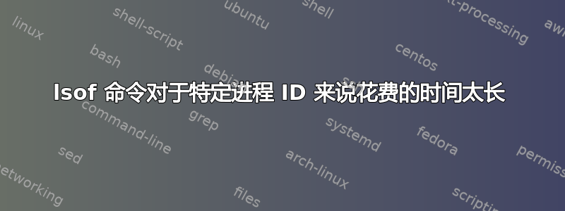 lsof 命令对于特定进程 ID 来说花费的时间太长