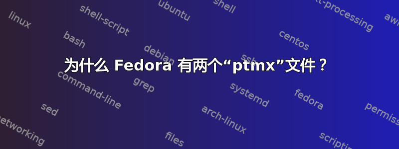 为什么 Fedora 有两个“ptmx”文件？