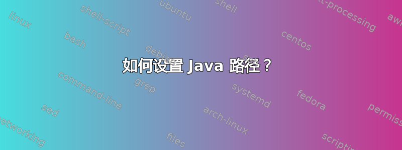 如何设置 Java 路径？