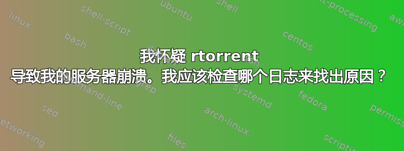 我怀疑 rtorrent 导致我的服务器崩溃。我应该检查哪个日志来找出原因？