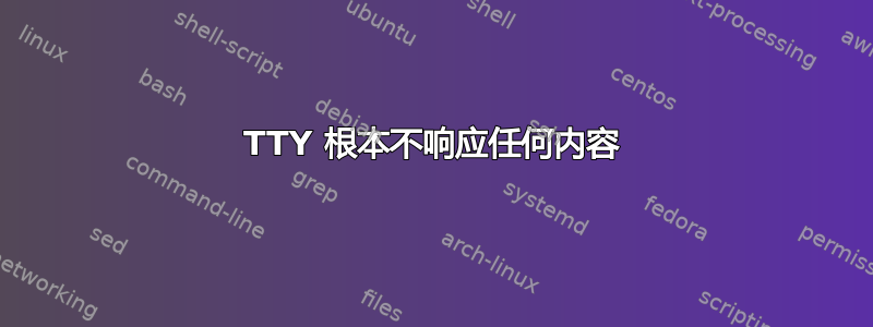 TTY 根本不响应任何内容