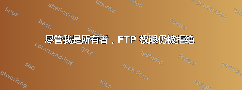 尽管我是所有者，FTP 权限仍被拒绝