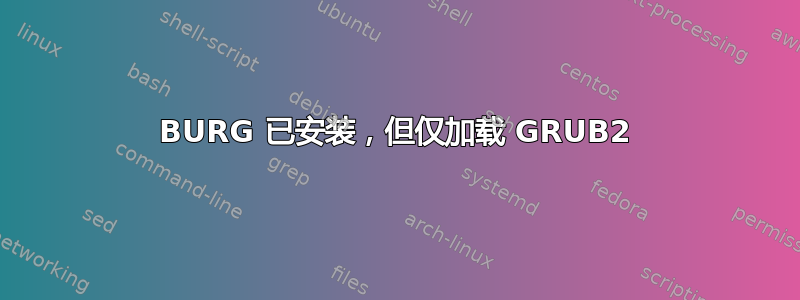 BURG 已安装，但仅加载 GRUB2