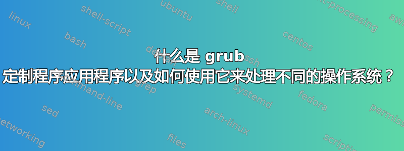 什么是 grub 定制程序应用程序以及如何使用它来处理不同的操作系统？