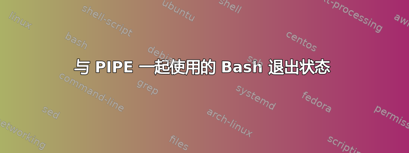 与 PIPE 一起使用的 Bash 退出状态