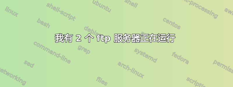 我有 2 个 ftp 服务器正在运行