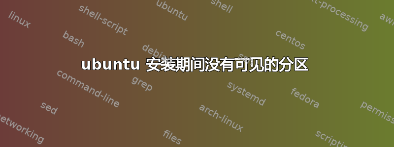 ubuntu 安装期间没有可见的分区