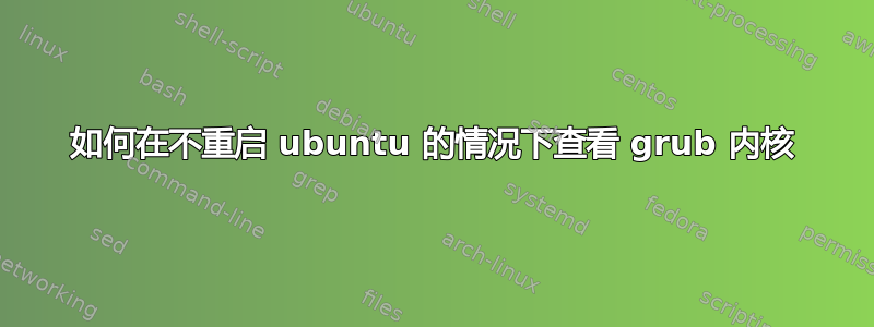 如何在不重启 ubuntu 的情况下查看 grub 内核