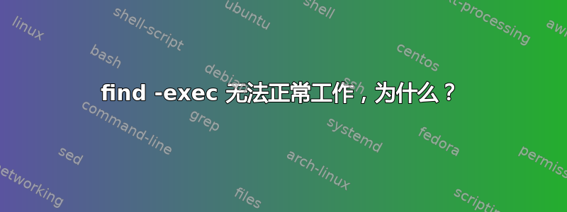 find -exec 无法正常工作，为什么？