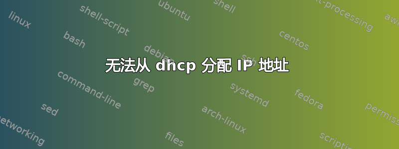 无法从 dhcp 分配 IP 地址