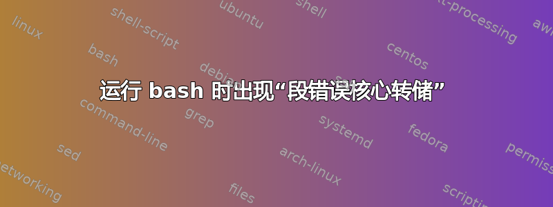 运行 bash 时出现“段错误核心转储”