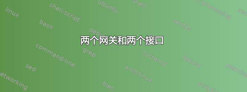 两个网关和两个接口