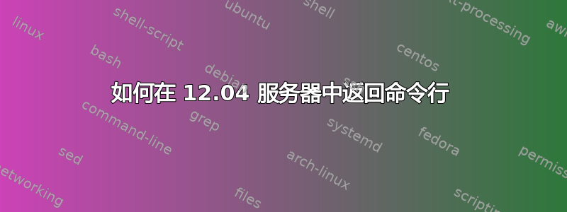 如何在 12.04 服务器中返回命令行