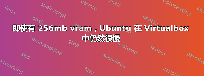 即使有 256mb vram，Ubuntu 在 Virtualbox 中仍然很慢