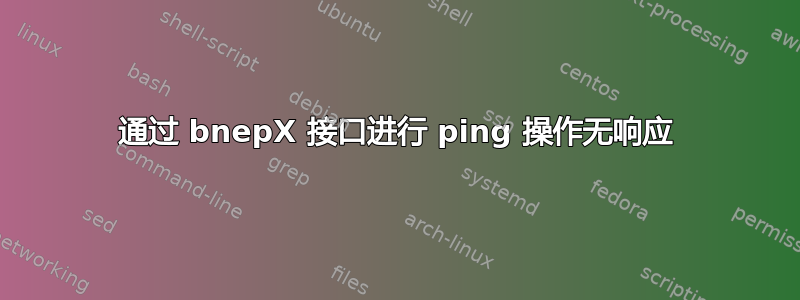 通过 bnepX 接口进行 ping 操作无响应