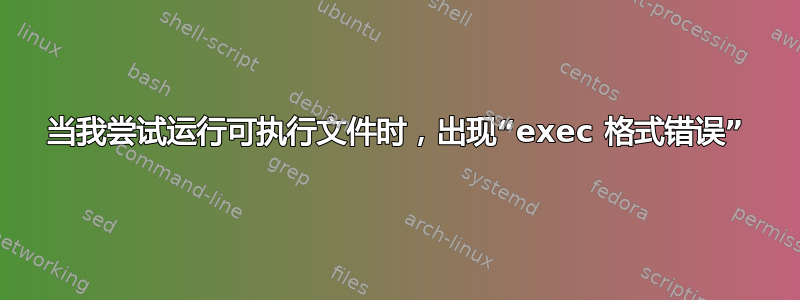 当我尝试运行可执行文件时，出现“exec 格式错误”