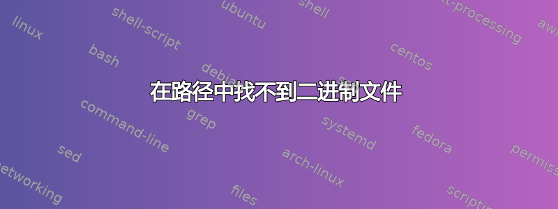 在路径中找不到二进制文件