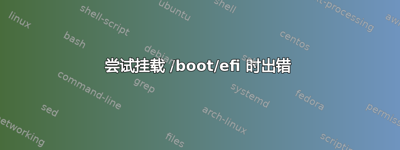 尝试挂载 /boot/efi 时出错