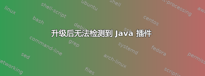 升级后无法检测到 Java 插件