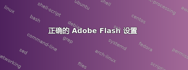 正确的 Adob​​e Flash 设置