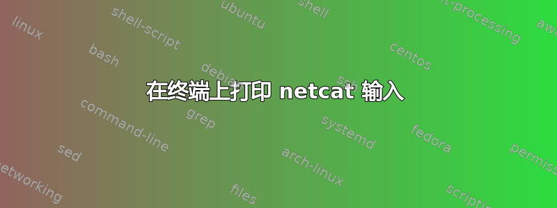 在终端上打印 netcat 输入