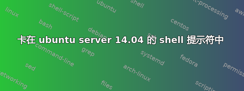 卡在 ubuntu server 14.04 的 shell 提示符中