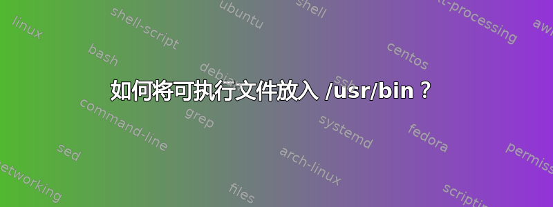 如何将可执行文件放入 /usr/bin？