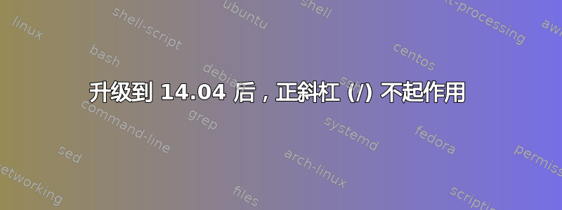 升级到 14.04 后，正斜杠 (/) 不起作用